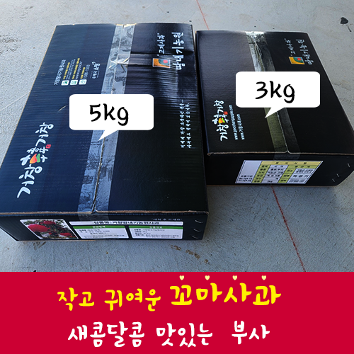 땀내기농원 사과(부사) 3kg(6~11과)