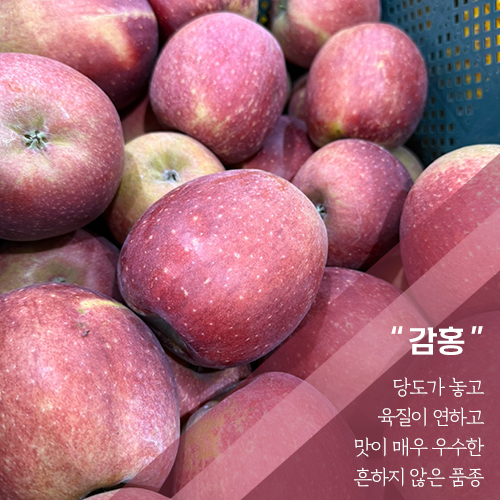 땀내기농원 감홍 5kg(17-22과)